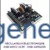 Régulateur électronique DSR Régulateur digital Mecc Alte DSR A676205