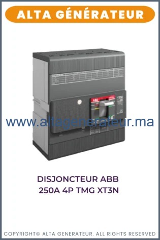 Disjoncteur-ABB-250A-TMG